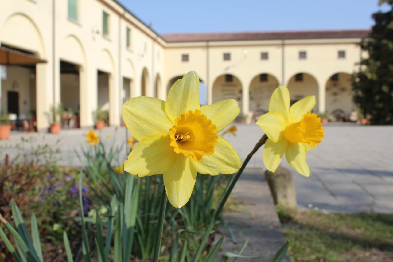 Agriturismo Corte Carezzabella San Martino di Venezze Eksteriør bilde