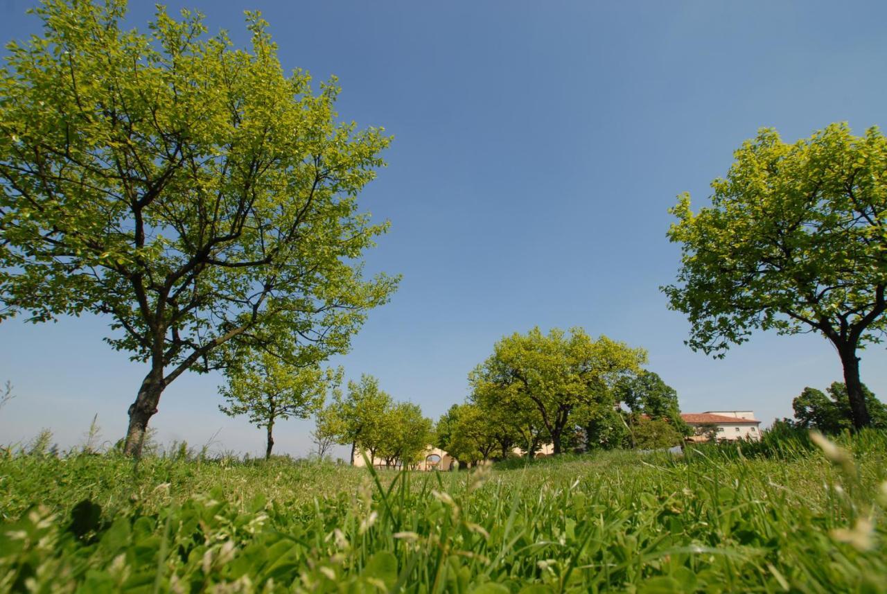 Agriturismo Corte Carezzabella San Martino di Venezze Eksteriør bilde